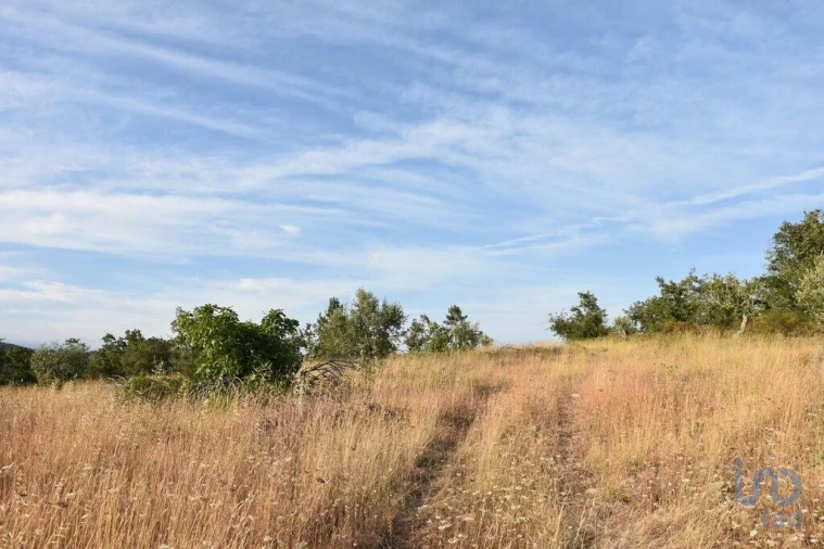 Terreno para Venda em Chãos Foto 9