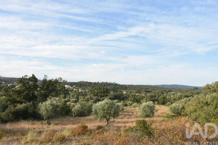 Terreno para Venda em Chãos Foto 24