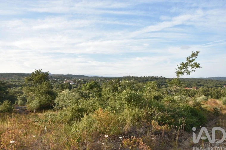 Terreno para Venda em Chãos Foto 26