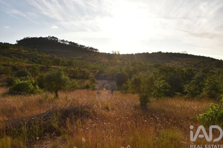 Terreno para Venda em Chãos Foto 28