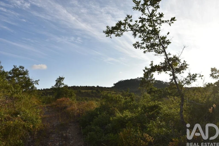 Terreno para Venda em Chãos Foto 25