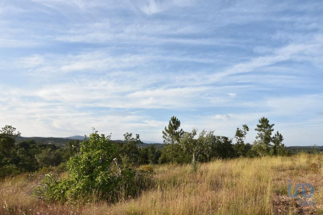Terreno para Venda em Chãos Foto 14
