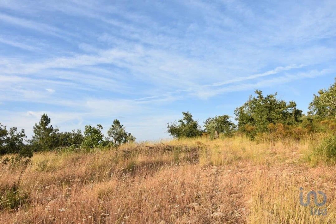 Terreno para Venda em Chãos Foto 11