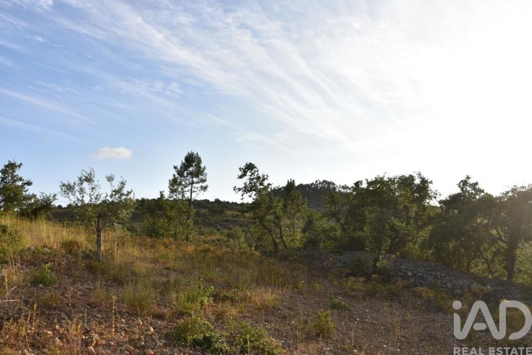 Terreno para Venda em Chãos Foto 22