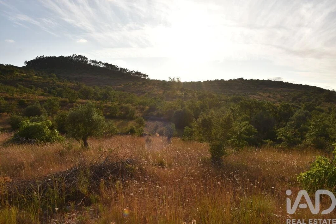 Terreno para Venda em Chãos Foto 28
