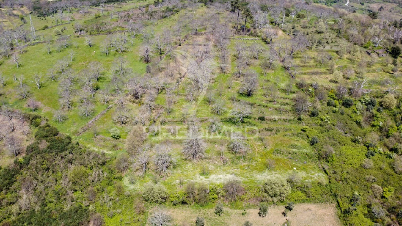 Quinta para Venda em Tamanhos Foto 14