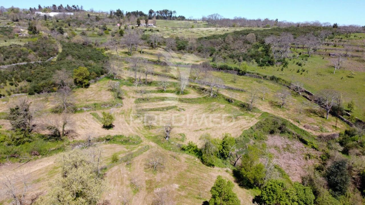 Quinta para Venda em Tamanhos Foto 8