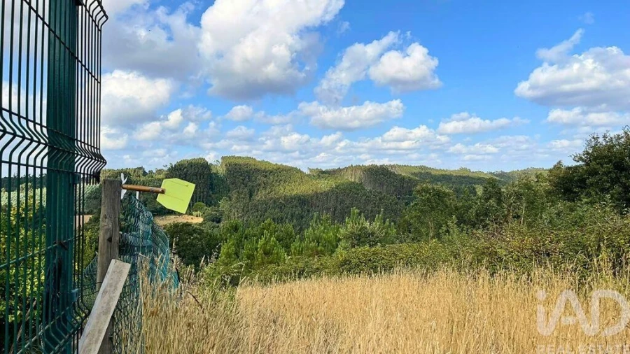 Terreno para Venda em Caldas da Rainha - Santo Onofre e Serra do Bouro Foto 3