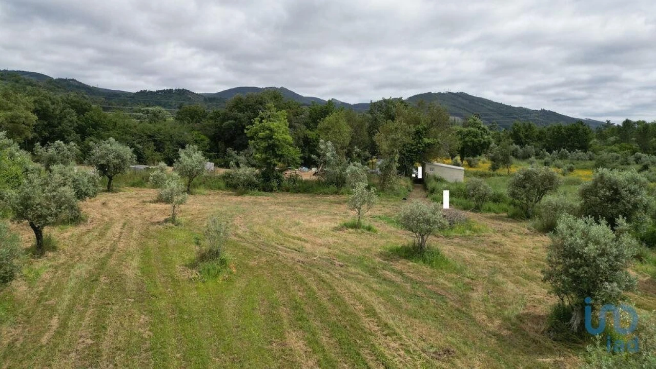 Terreno para Venda em Espinhal Foto 15