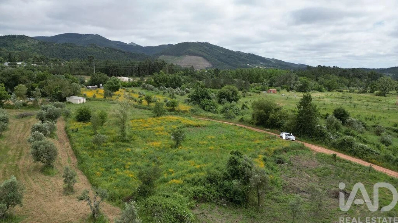 Terreno para Venda em Espinhal Foto 16