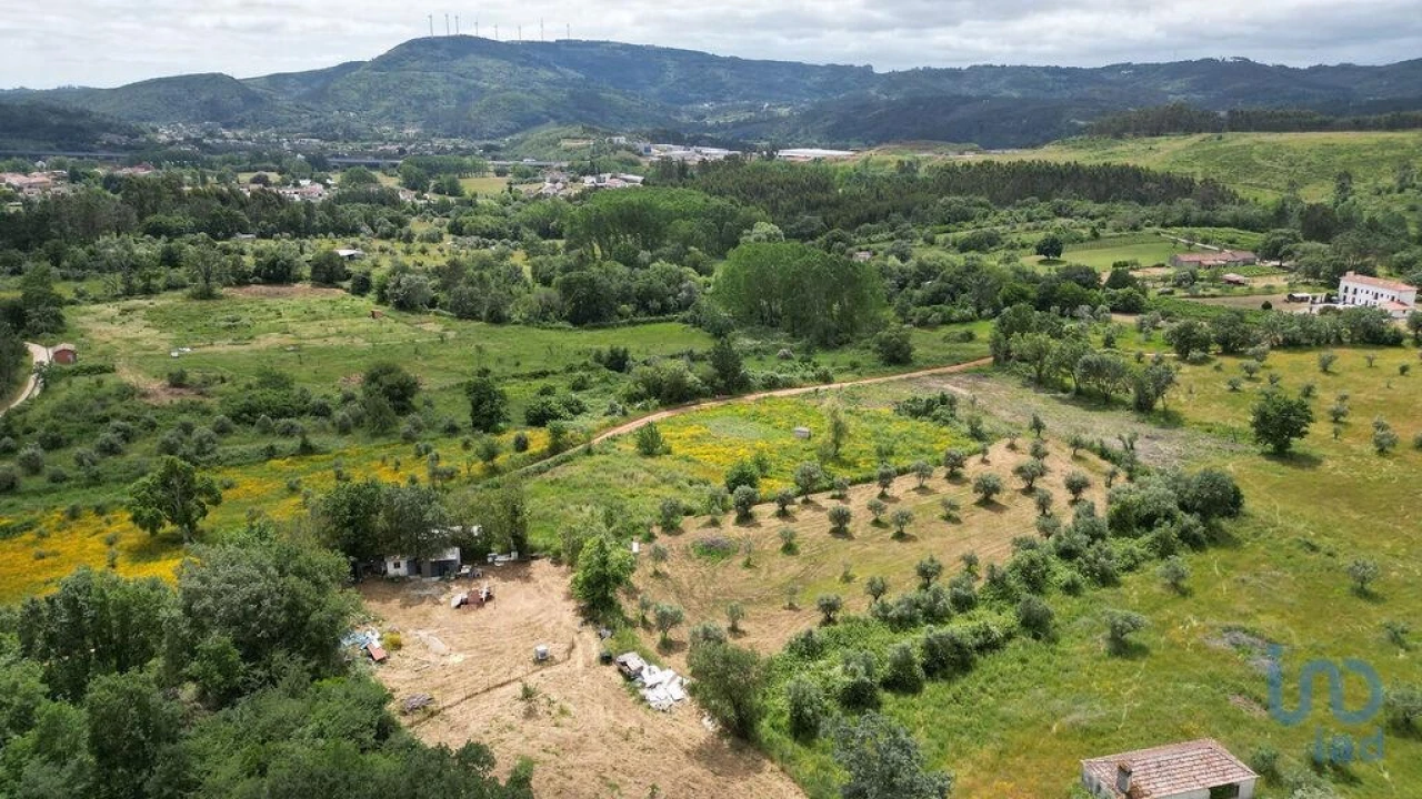 Terreno para Venda em Espinhal Foto 11