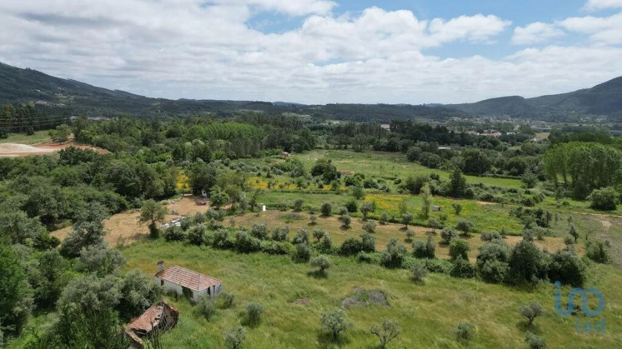 Terreno para Venda em Espinhal Foto 3