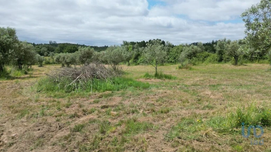 Terreno para Venda em Espinhal Foto 12