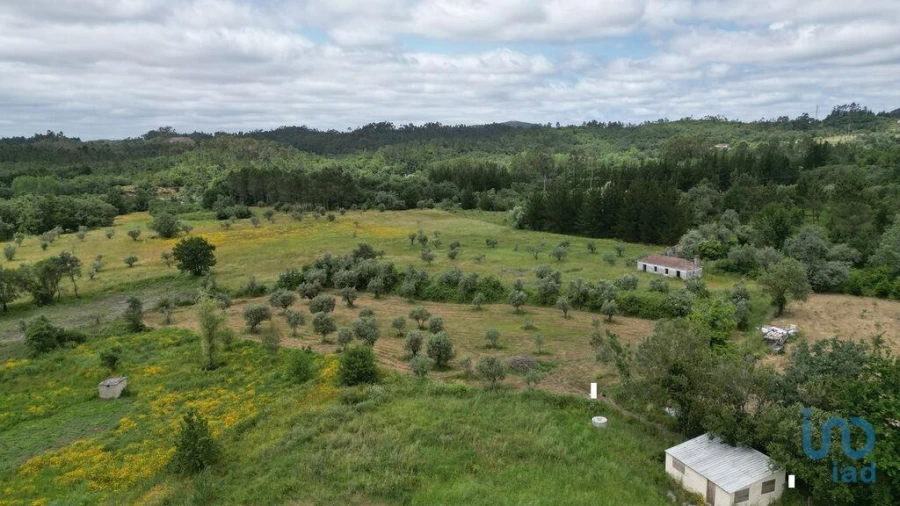 Terreno para Venda em Espinhal Foto 9