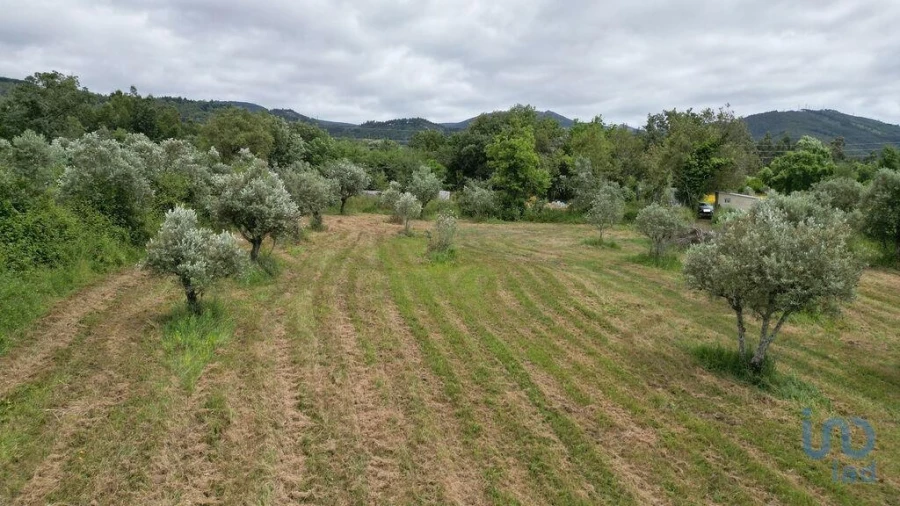 Terreno para Venda em Espinhal Foto 14