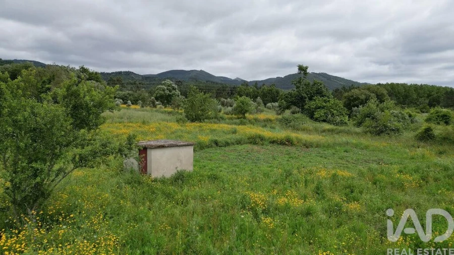 Terreno para Venda em Espinhal Foto 23