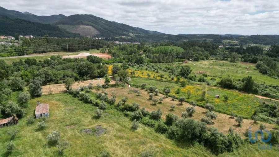 Terreno para Venda em Espinhal Foto 4