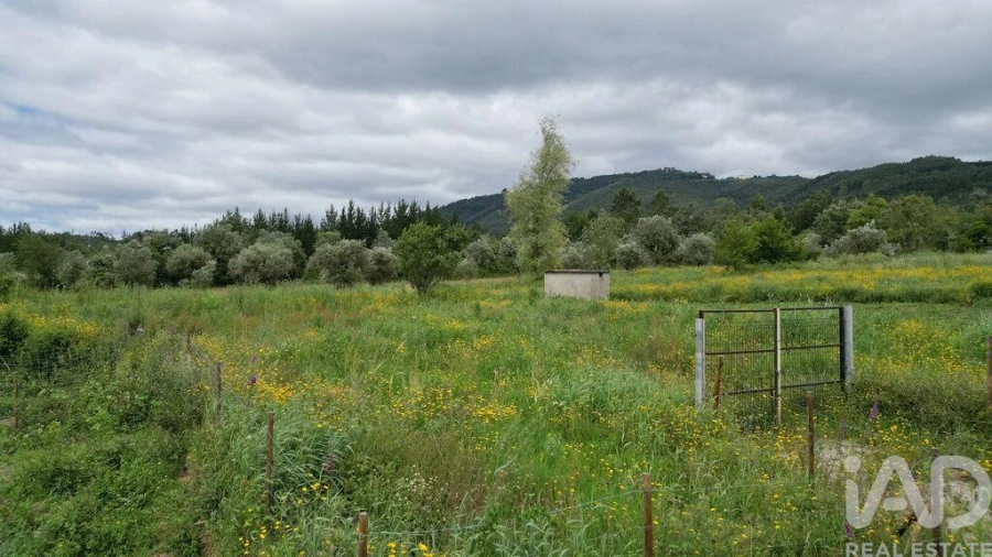Terreno para Venda em Espinhal Foto 22