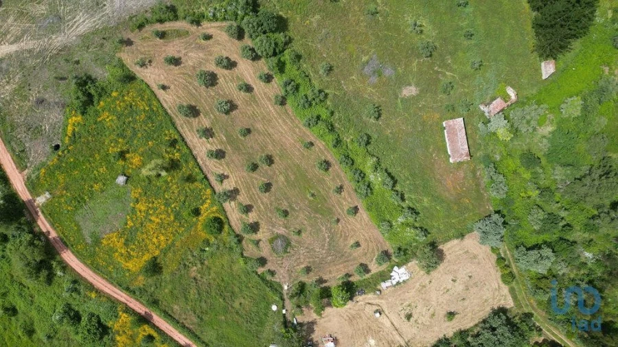 Terreno para Venda em Espinhal Foto 2