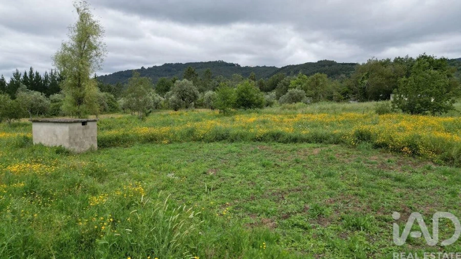 Terreno para Venda em Espinhal Foto 24