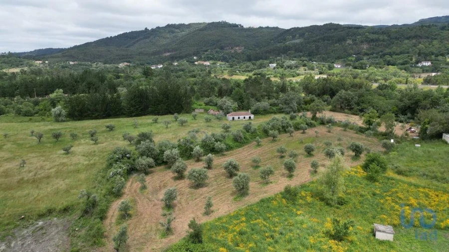 Terreno para Venda em Espinhal Foto 7