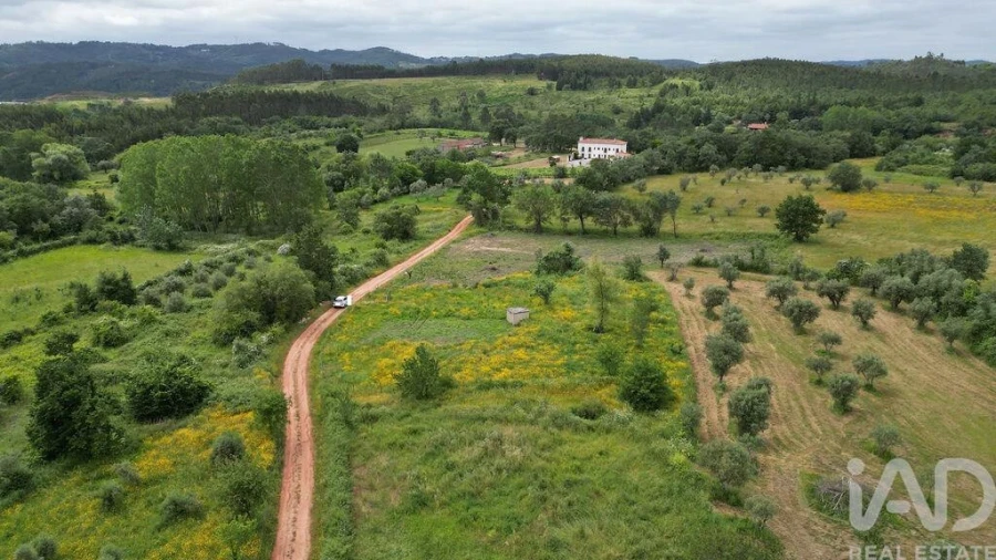 Terreno para Venda em Espinhal Foto 18