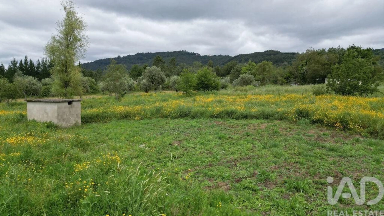 Terreno para Venda em Espinhal Foto 24