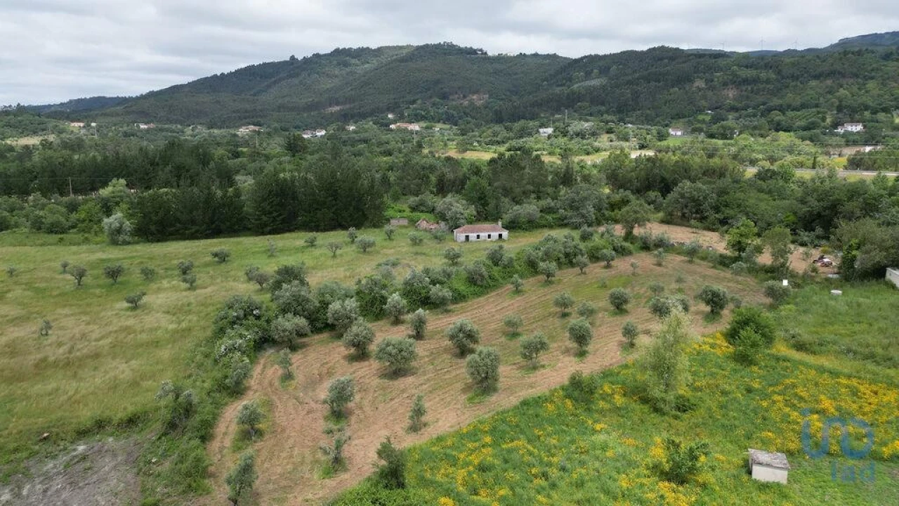 Terreno para Venda em Espinhal Foto 7