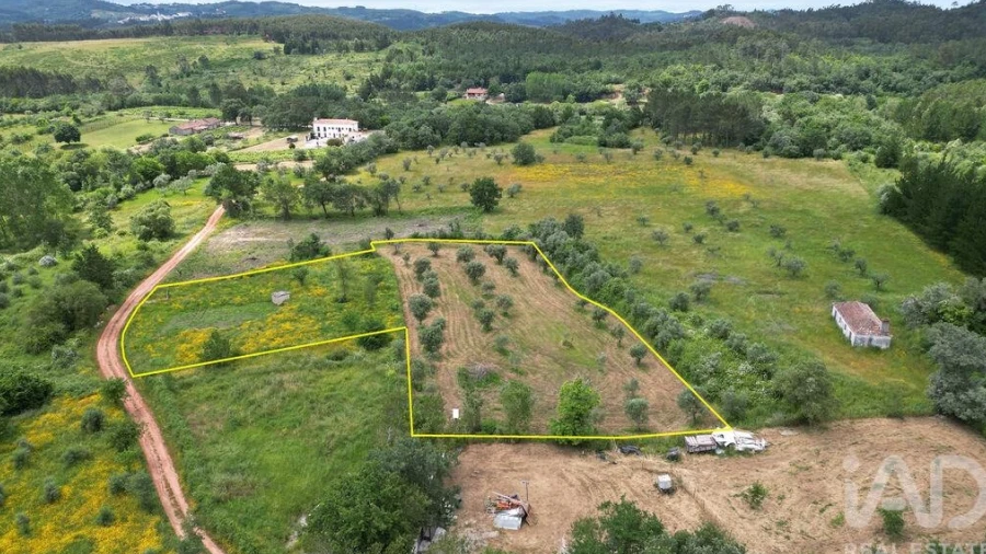 Terreno para Venda em Espinhal