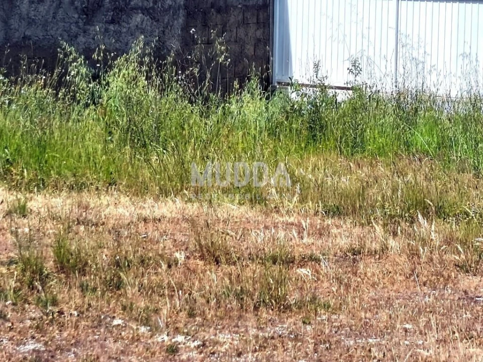 Terreno para Venda em Benedita Foto 4