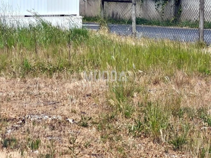 Terreno para Venda em Benedita Foto 2