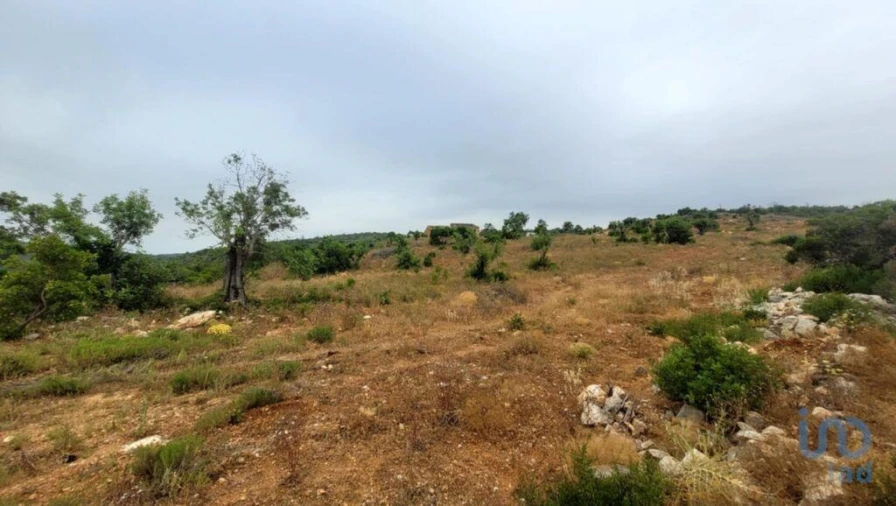 Moradia T2 para Venda em Paderne Foto 4