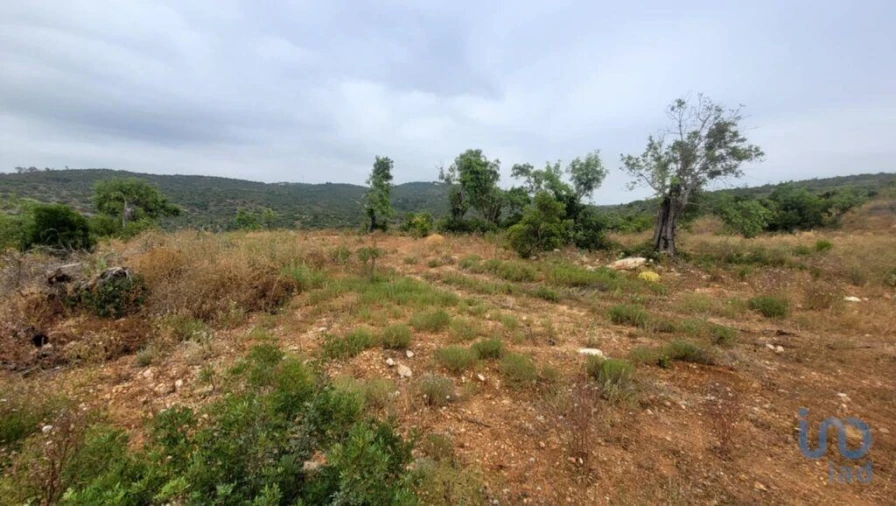 Moradia T2 para Venda em Paderne Foto 3