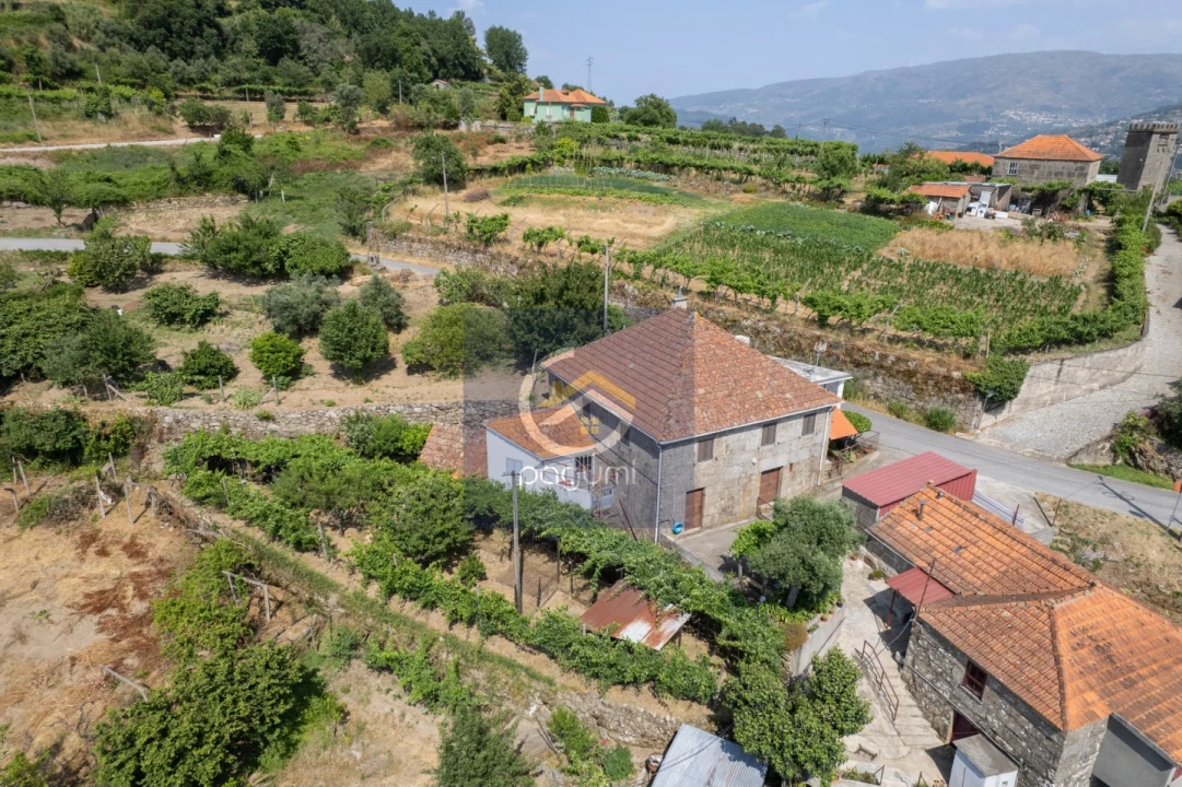 Moradia T5 para Venda em Santa Cruz do Douro e São Tomé de Covelas Foto 3