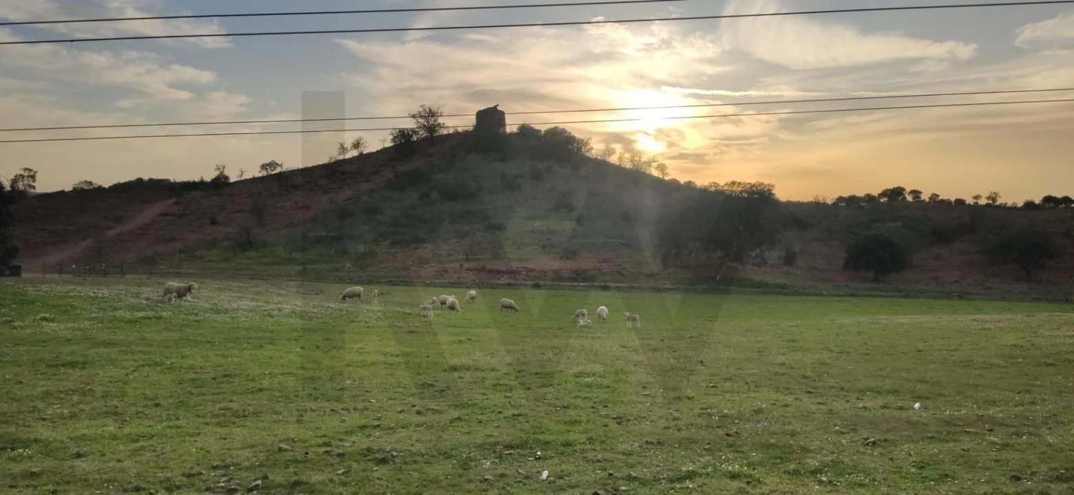 Moradia T2 para Venda em Martim Longo Foto 24