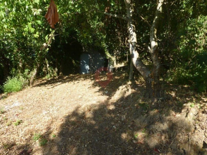 Terreno para Venda em Messegães, Valadares e Sá Foto 4