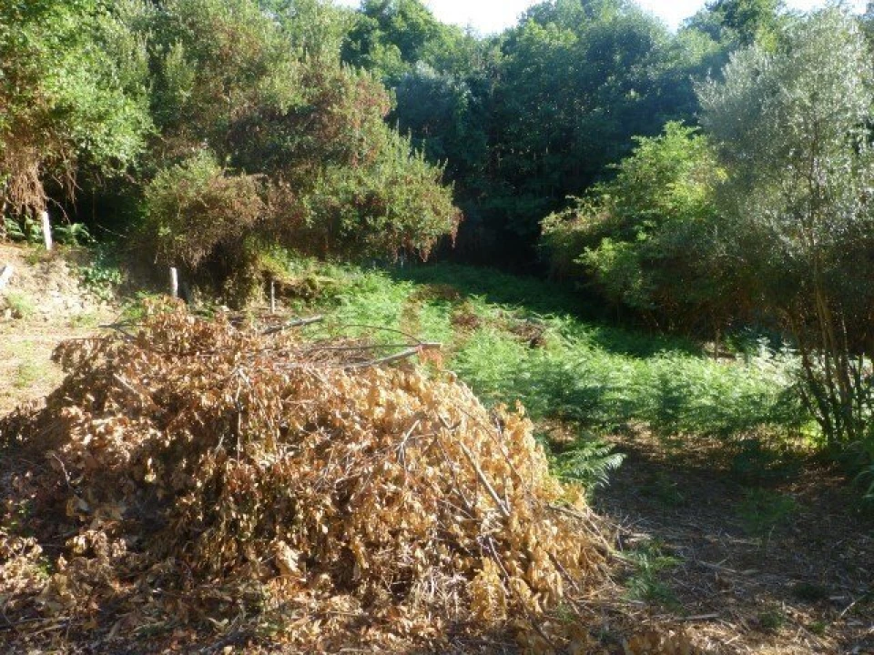 Terreno para Venda em Messegães, Valadares e Sá Foto 5