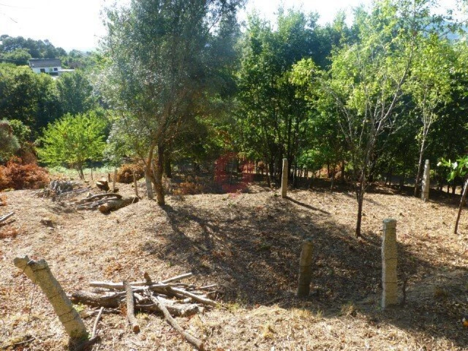 Moradia T0 para Venda em Messegães, Valadares e Sá Foto 6