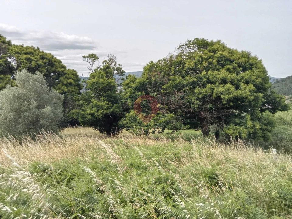 Moradia T0 para Venda em Messegães, Valadares e Sá Foto 5