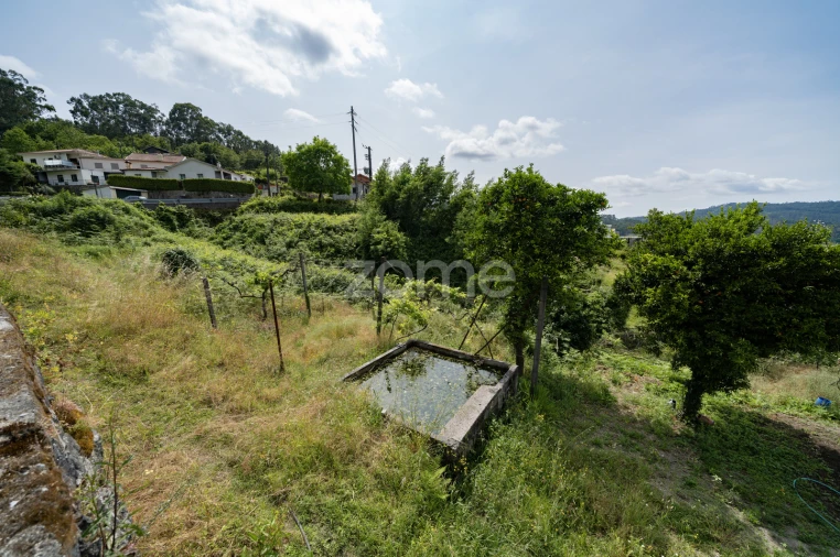 Terreno para Venda em Escudeiros e Penso (Santo Estêvão e São Vicente) Foto 8
