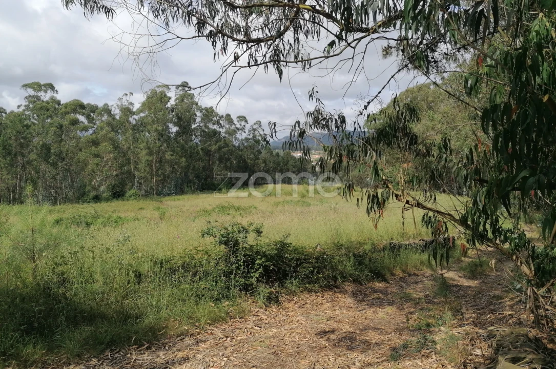 Terreno para Venda em Braga (Maximinos, Sé e Cividade) Foto 7