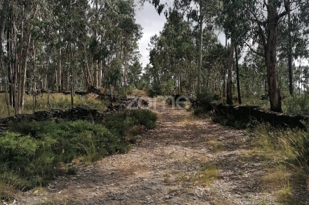 Terreno para Venda em Braga (Maximinos, Sé e Cividade) Foto 9