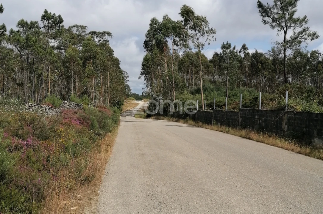 Terreno para Venda em Braga (Maximinos, Sé e Cividade) Foto 2
