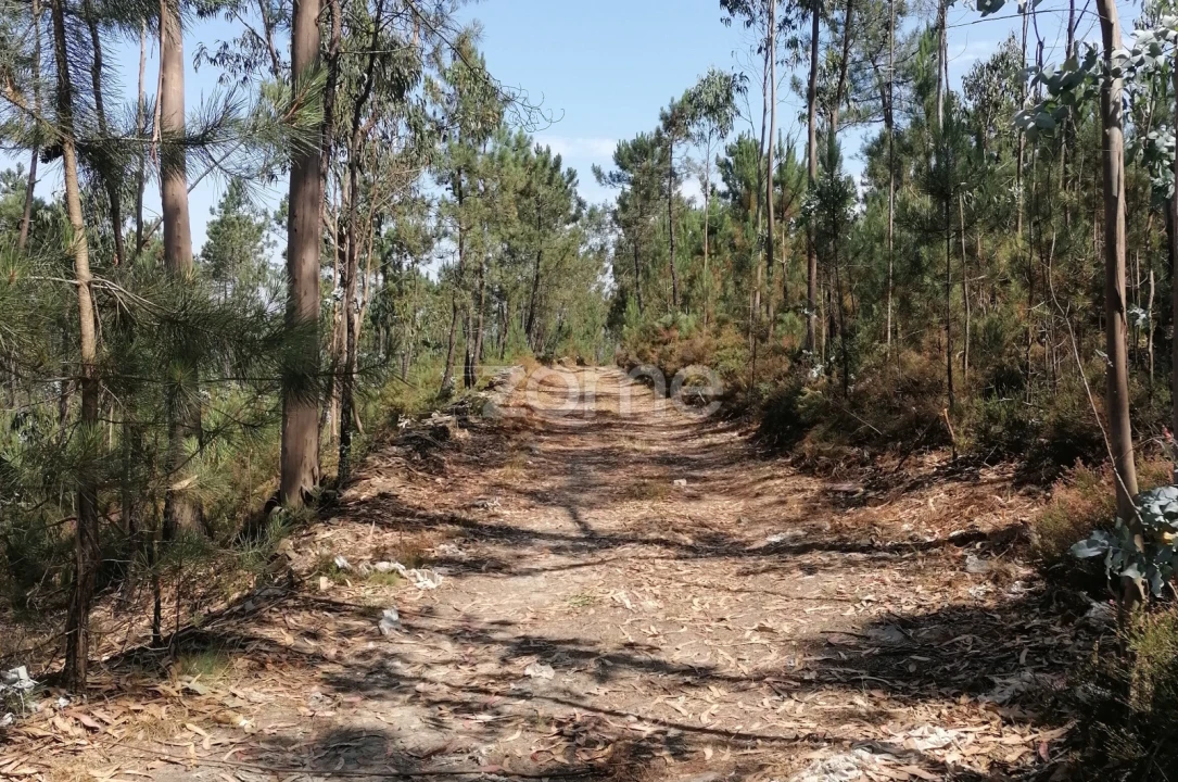 Terreno para Venda em Braga (Maximinos, Sé e Cividade) Foto 16