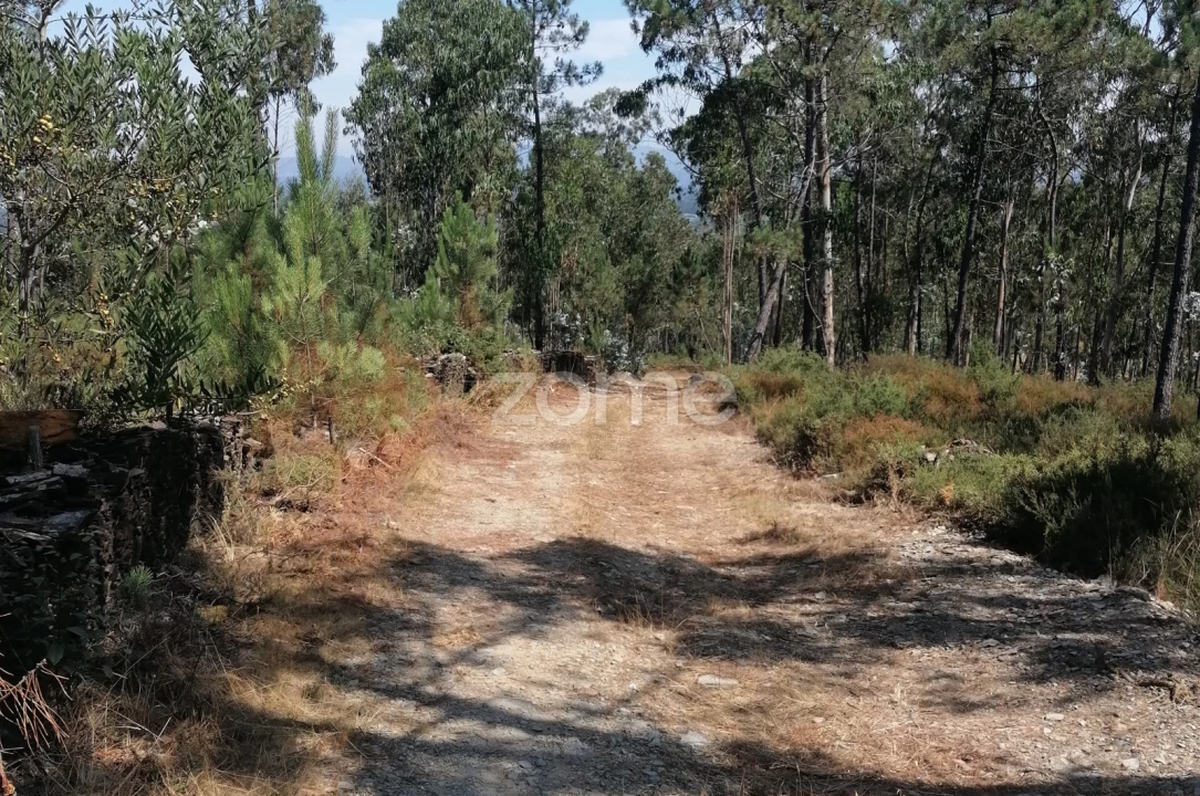 Terreno para Venda em Braga (Maximinos, Sé e Cividade) Foto 5