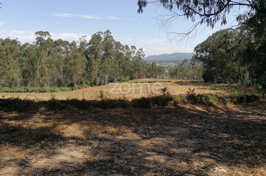 Terreno para Venda em Braga (Maximinos, Sé e Cividade) Foto 23