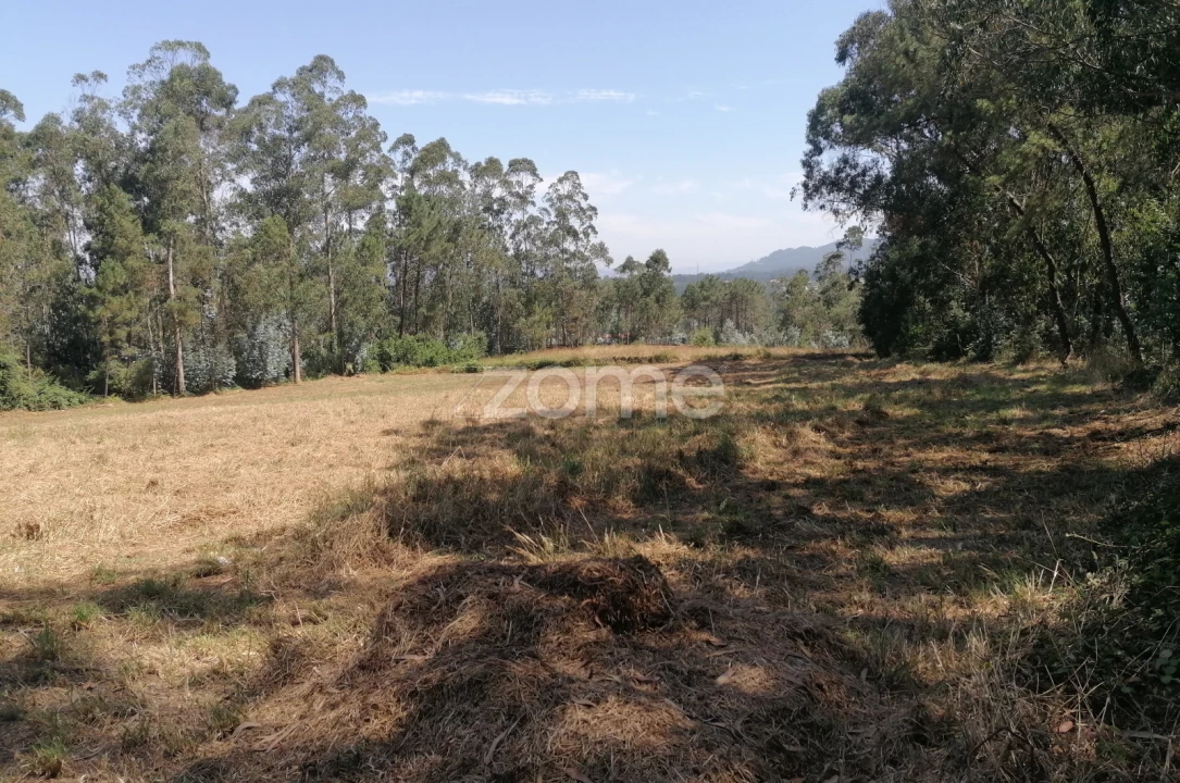 Terreno para Venda em Braga (Maximinos, Sé e Cividade) Foto 19