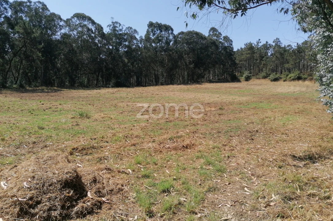 Terreno para Venda em Braga (Maximinos, Sé e Cividade) Foto 1