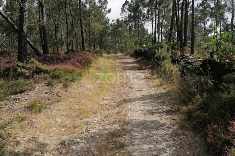 Terreno para Venda em Braga (Maximinos, Sé e Cividade) Foto 8