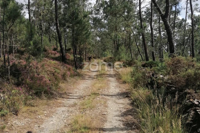 Terreno para Venda em Braga (Maximinos, Sé e Cividade) Foto 6